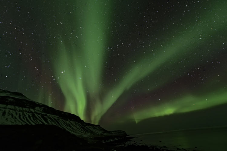 Low angle view of aurora borealis at night during winter