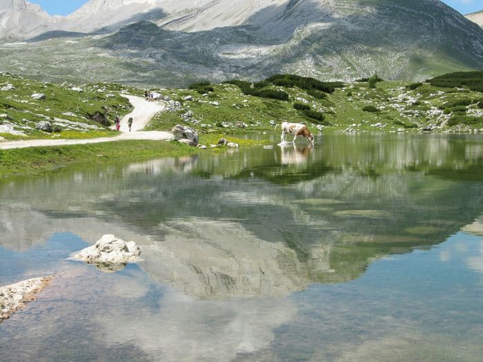 Scenic view of mountains