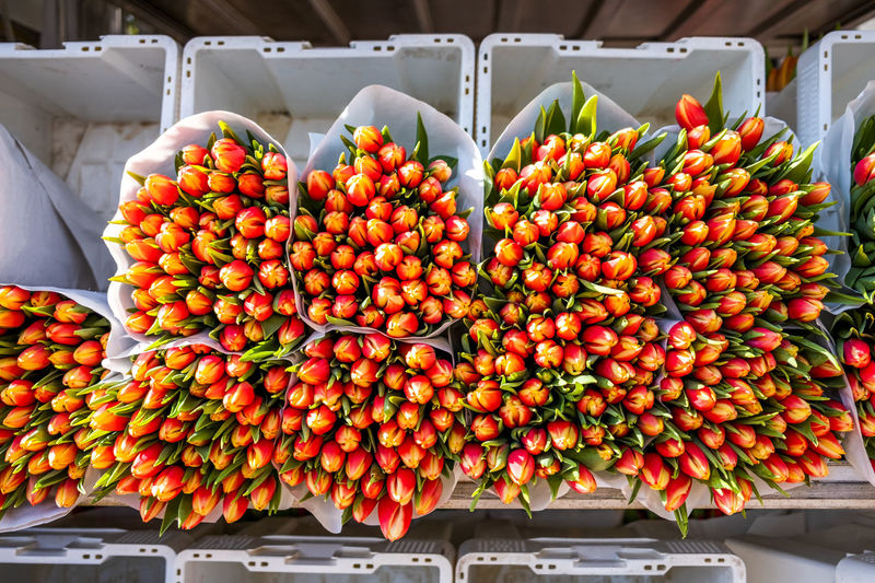 Tulips in a box on market