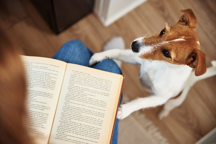 Woman hold dog and reading book. relaxing together with pet