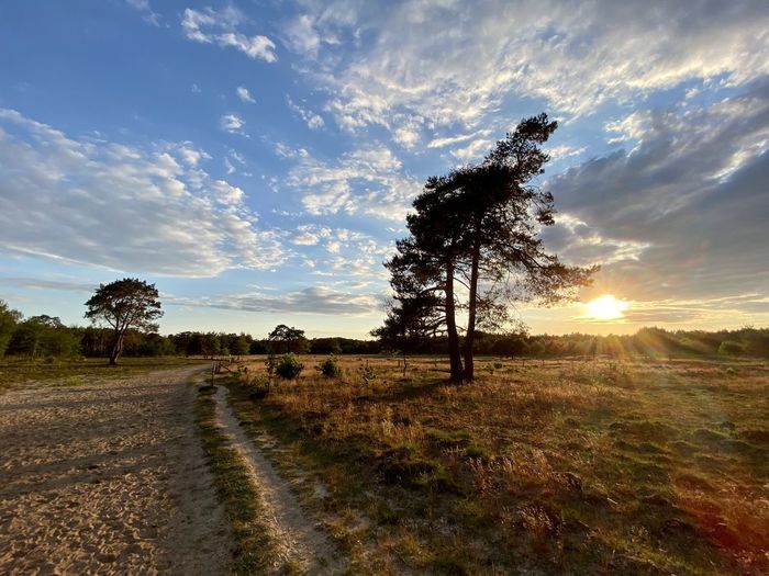 Scenic view of road amidst field against sky