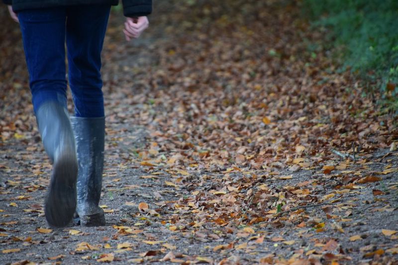 Low section of person walking on leaves covered road