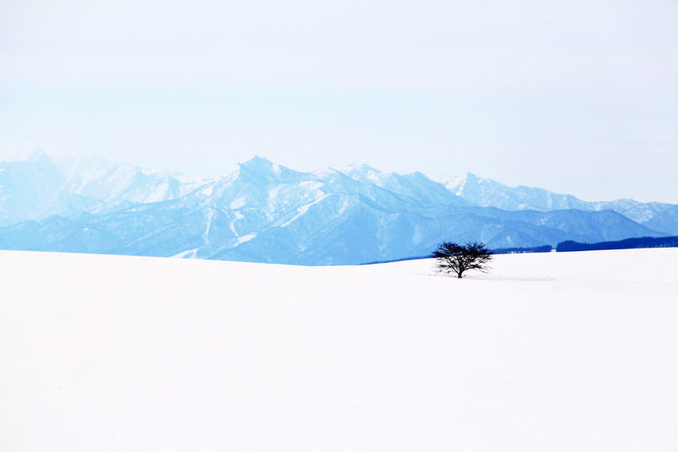 Scenic view of snowy landscape 