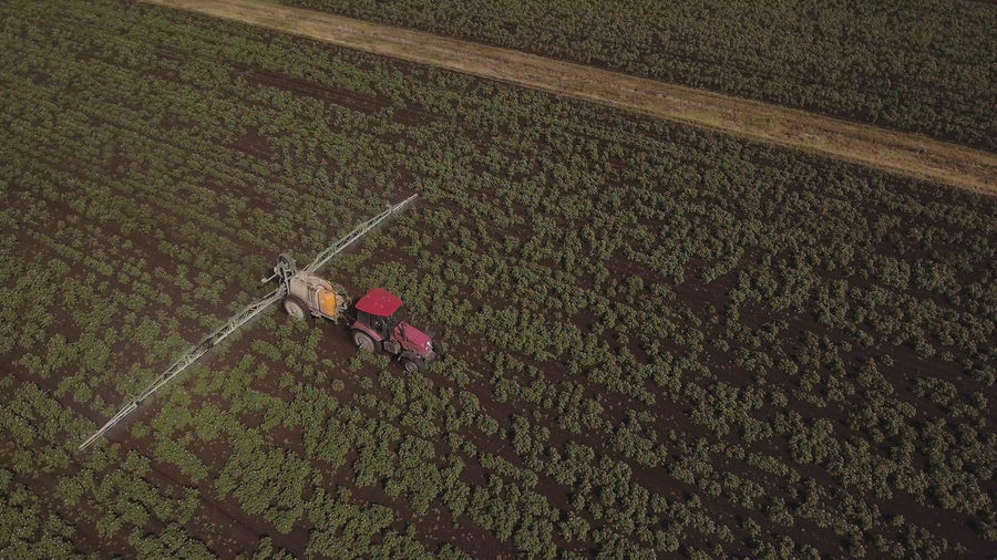Aerial view tractor spraying the chemicals on the large green field. 