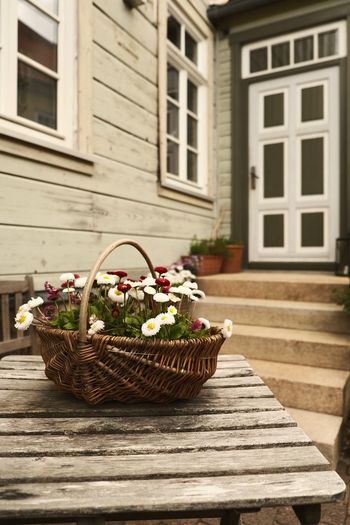 Potted plants in basket by house against building