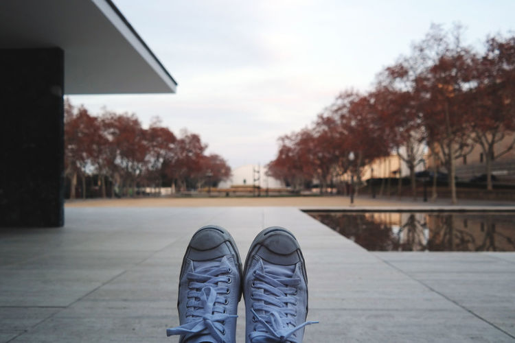 Close-up of cropped shoes with trees in distance