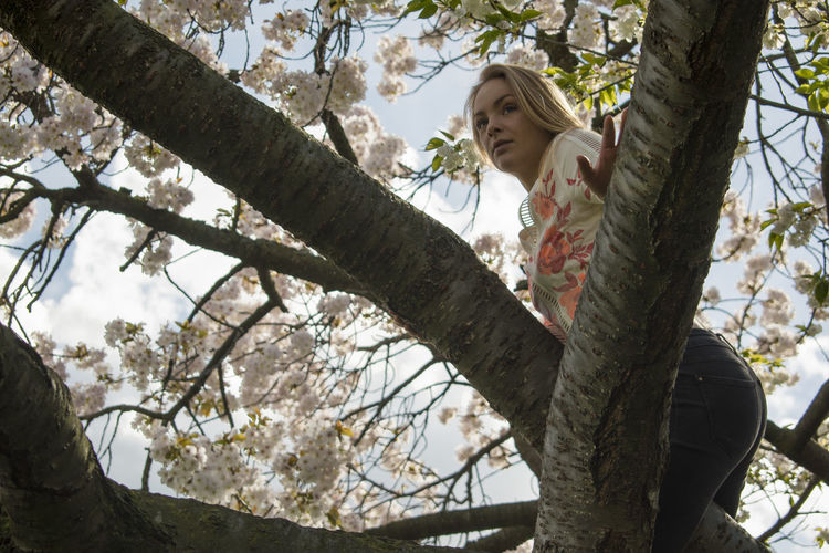 Low angle view of woman on tree