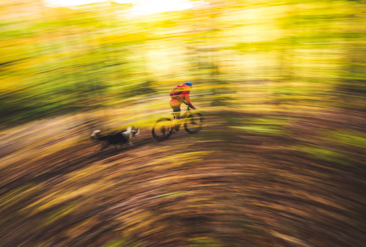 Blurred motion of man bicycling on road