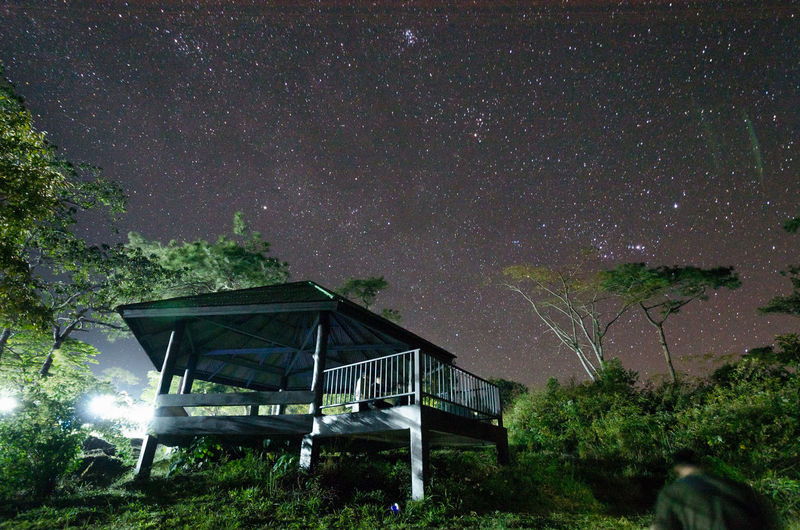 Low angle view of gazebo amidst trees against sky at night