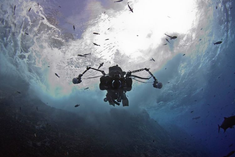 Person scuba diving undersea