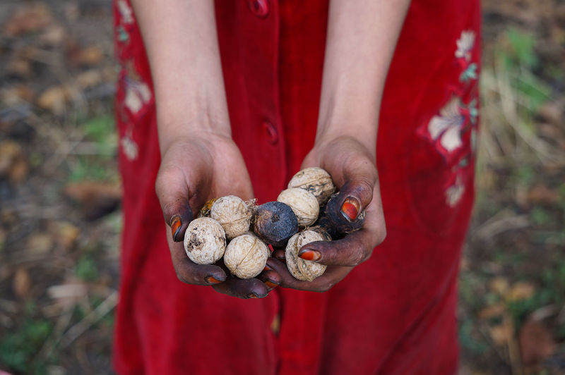 Midsection of woman holding walnuts outdoors