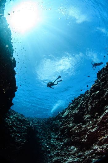 Low angle view of person diving in sea