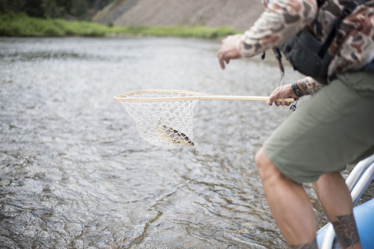 A fly fisherman pulls a brown trout of the river with a net.