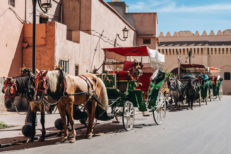 Empty horse-drawn carriages, marrakesh, morocco.