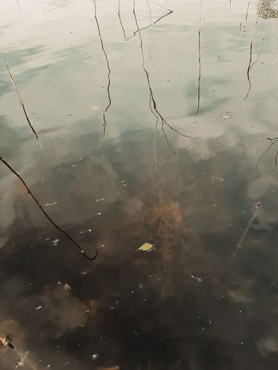 Full frame shot of lake