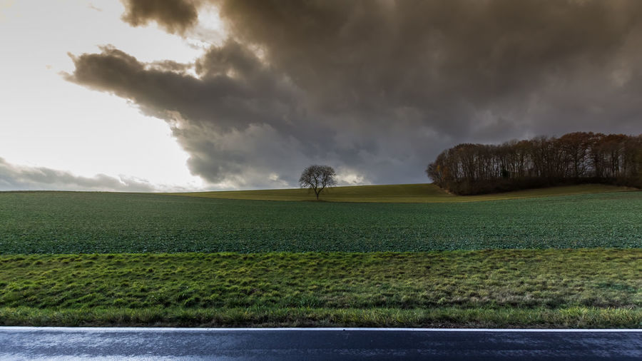 Scenic view of agricultural field against sky