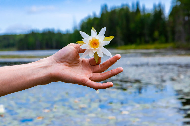 Close-up of hand holding flowering plant against lake
