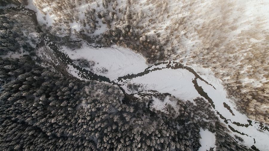 Aerial view of froze river amidst trees in forest
