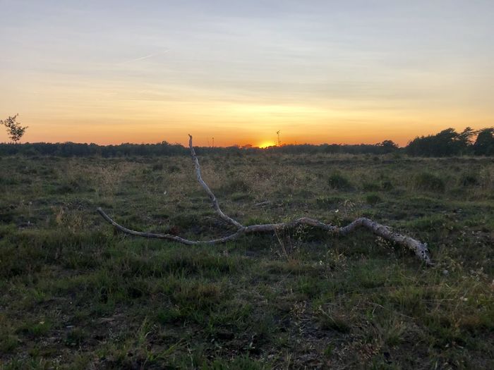 Scenic view of field against sky during sunset