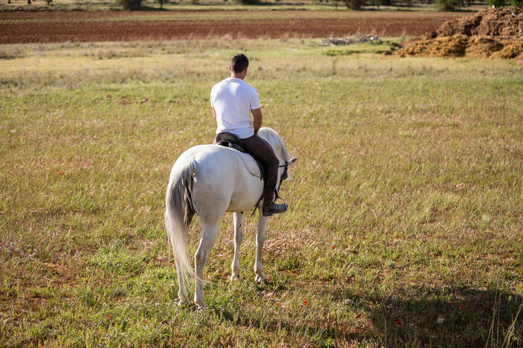Rear view of man riding horse