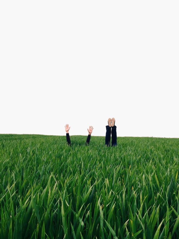 Human hands and legs seeing from grass in field