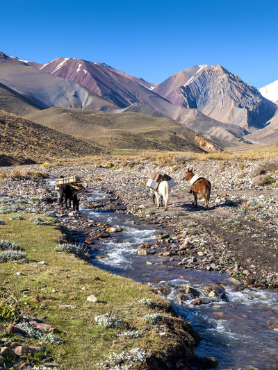 View of the andes mountain range, gaucho with his horse crosses the breakdown