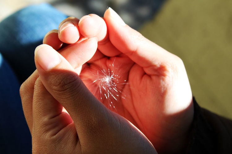 Close-up of a woman hands holding a soft seed
