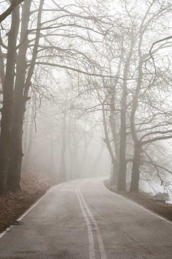 Pedestrian alley on the banks of frozen lake orestiada in misty morning