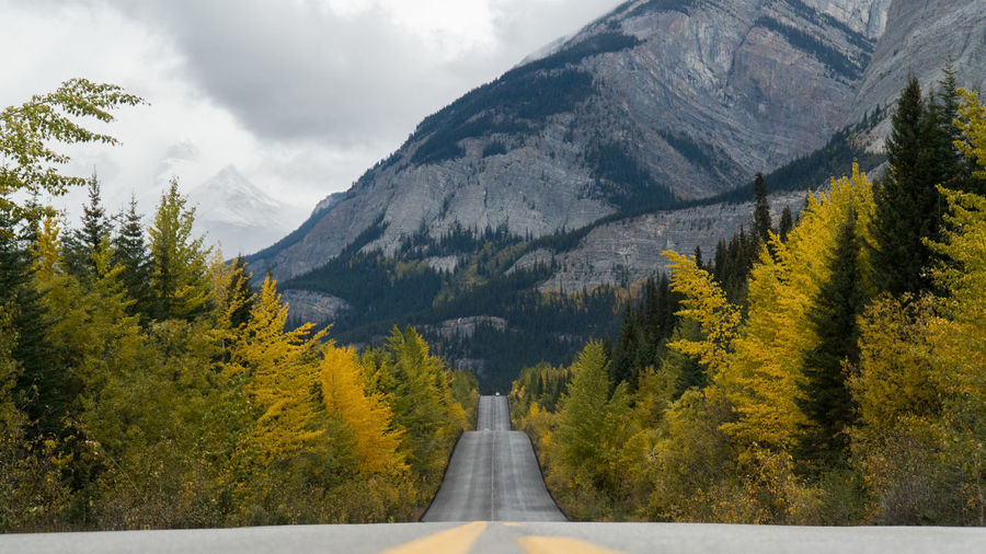 Road amidst trees and mountains against sky during autumn