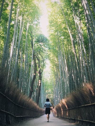 Rear view of woman walking on road amidst trees against sky