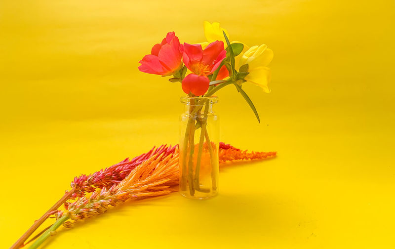 Close-up of flower vase against yellow background
