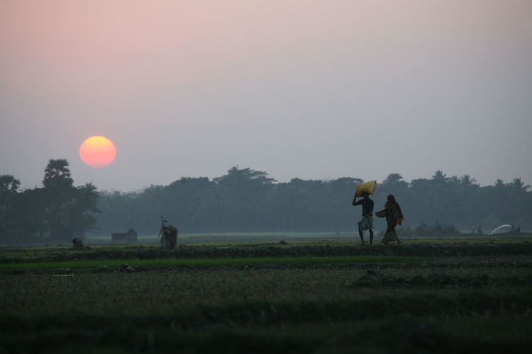 Farmers walking on field against sky