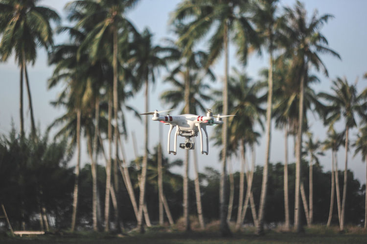Drone flying against palm trees