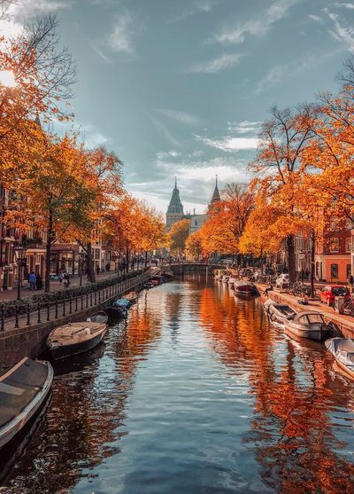 River passing through city during autumn