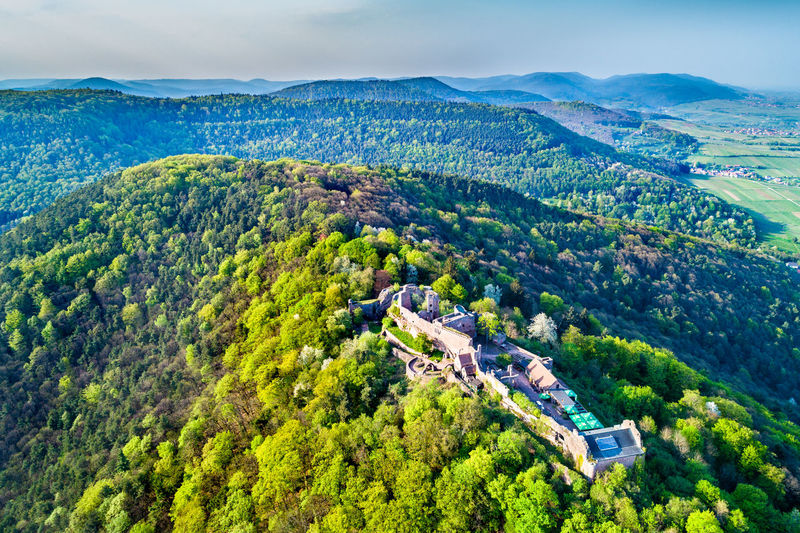 Aerial view of fort on hill amidst forest