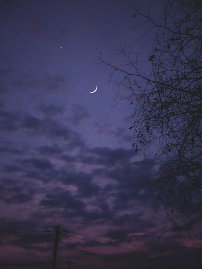 Low angle view of silhouette tree against sky at night
