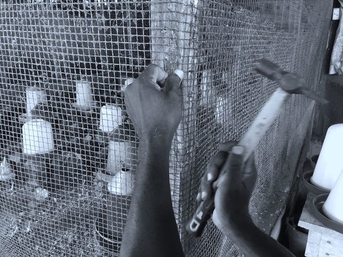 Close-up of human hand hammering cage
