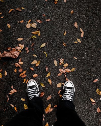 Low section of person standing on road by leaves during autumn