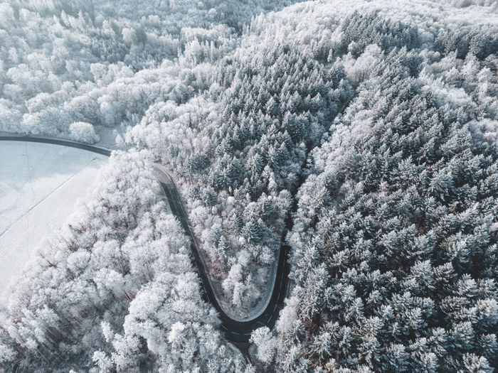 High angle view of winding road in the winter forest