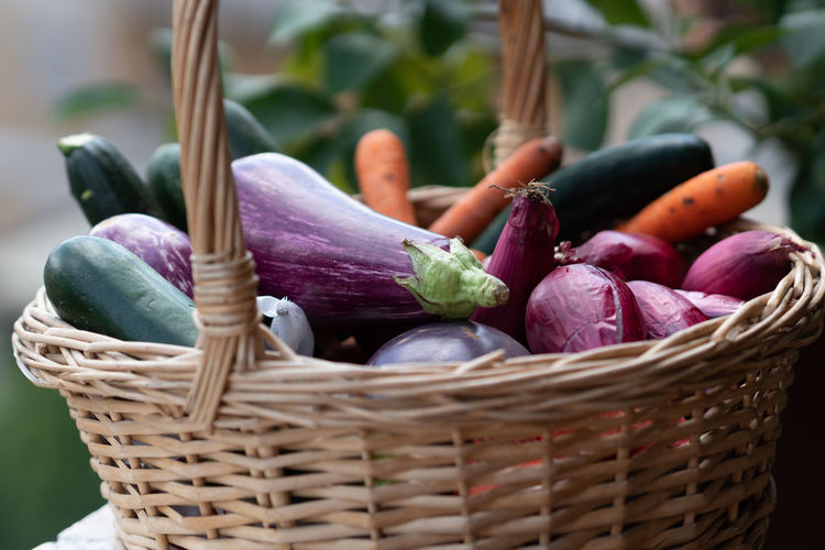 Wicker basket full of vegetables, eggplants, carrots, zucchini, and shallots. selective focus