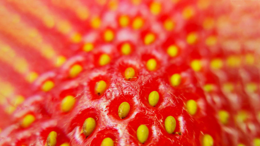 Full frame shot of strawberry