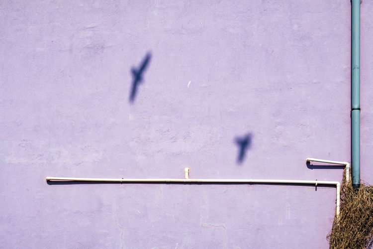 High angle view of shadow of birds on wall