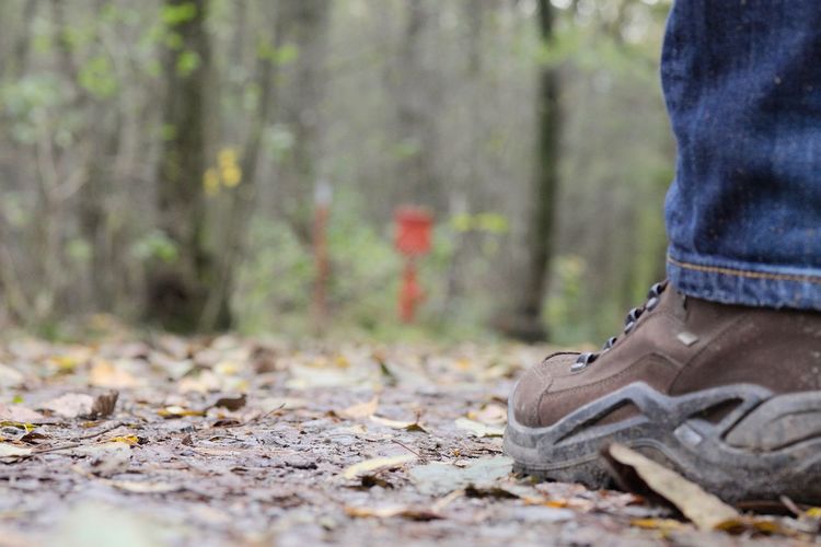 Low section of man on footpath
