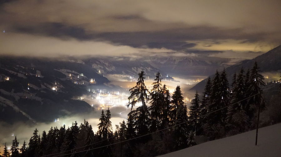 Trees on zillertal against cloudy sky at night