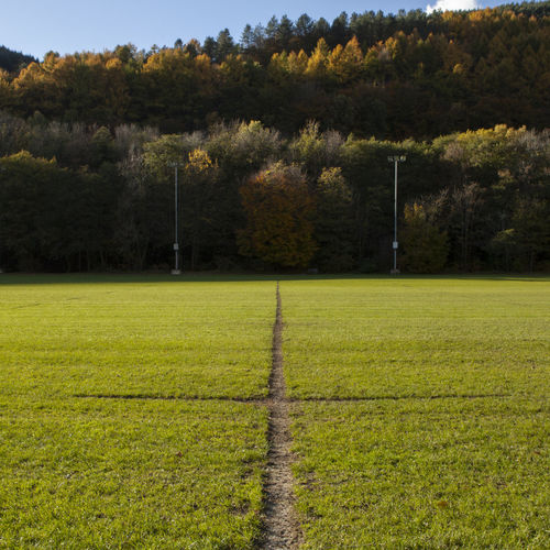 Rugby pitch in autumn in cwmcarn, wales