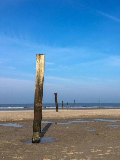 Wooden posts on beach against blue sky