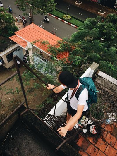 High angle view of man standing on tree