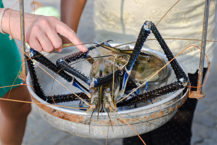 Seafood market - woman chooses and weighs langoustines on scales. fresh fish shop, sri lanka.