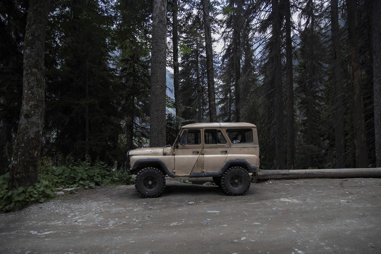 Vintage car 4x4 on road by trees in forest 