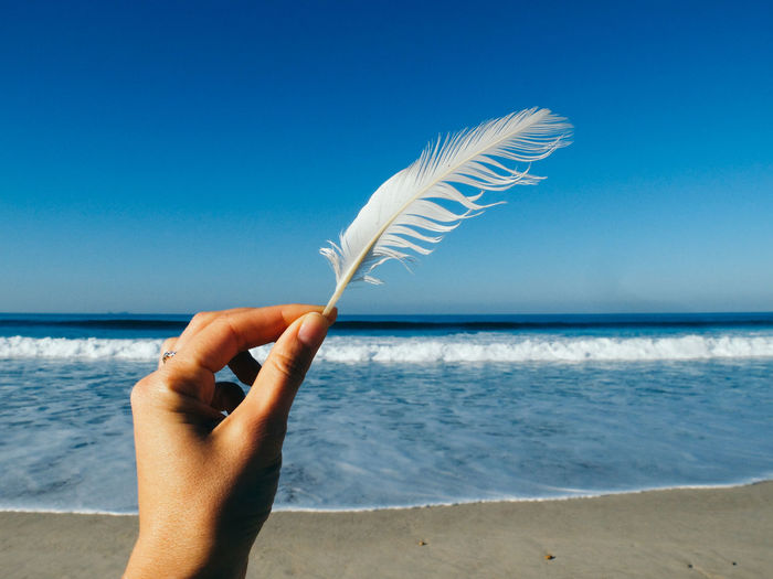 Cropped hand holding white feather at beach against blue sky